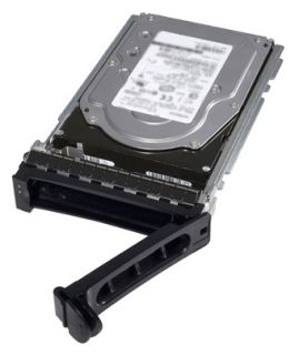 Dell 300GB SAS 10K RPM 3.5IN HS HDD WITH TRAY
