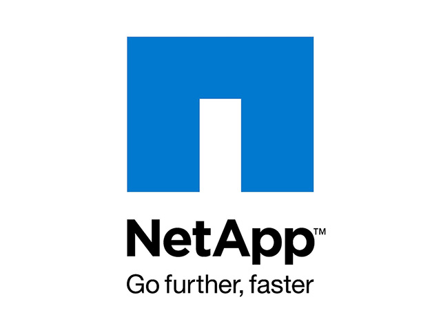 Жесткий диск NetApp E-X4034A-R6